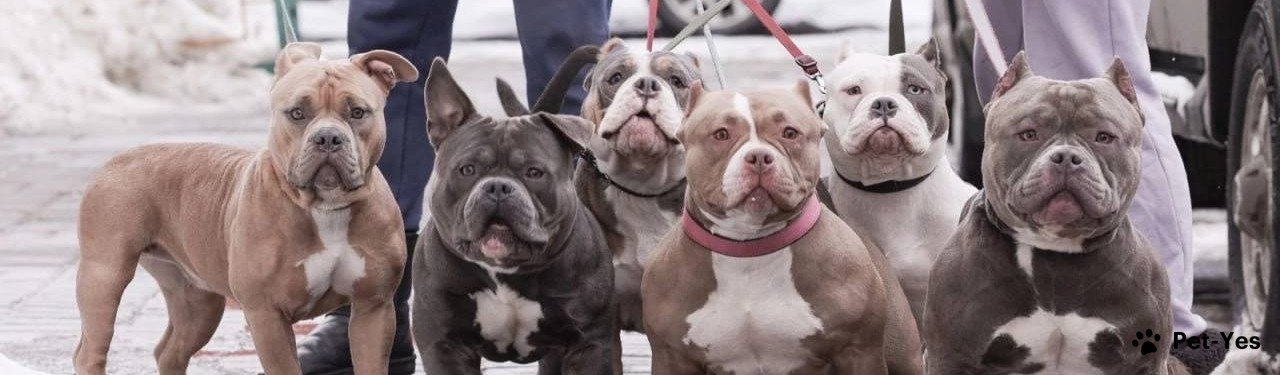 Обложка профиля пользователя