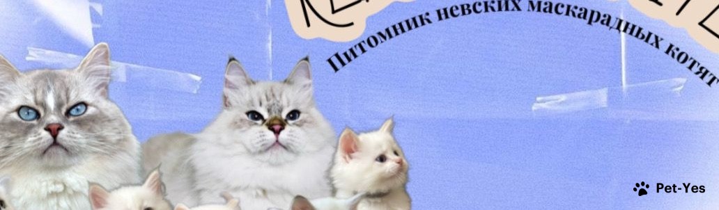 Обложка профиля пользователя