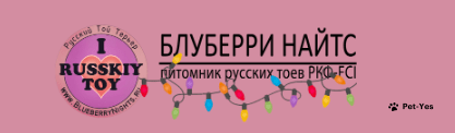 Обложка профиля пользователя