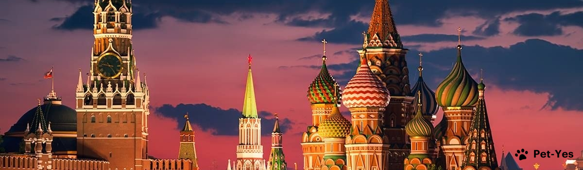 Обложка профиля пользователя