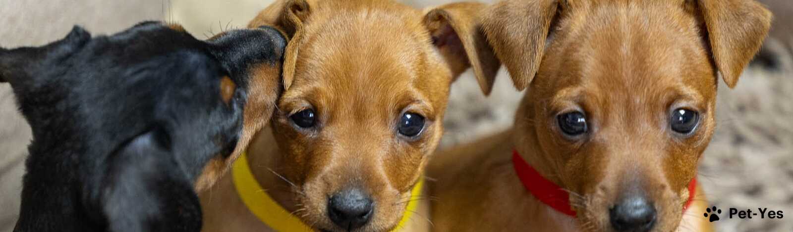 Обложка профиля пользователя