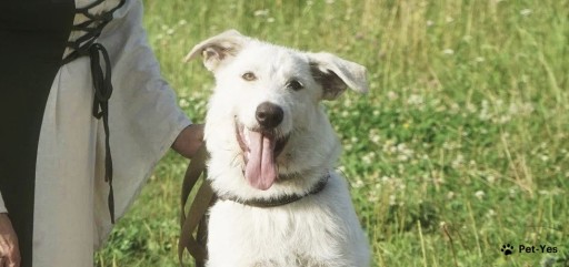 Белла