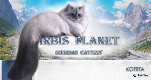 наш сайт https://irbis-cat.ru/