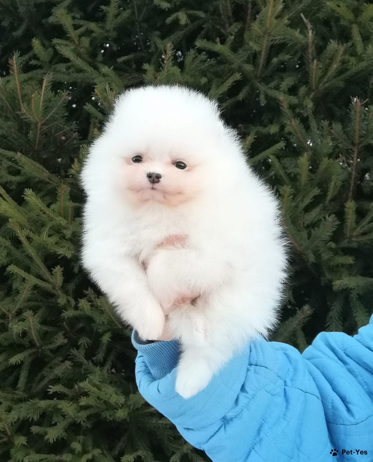 Картинка 2 месяца мальчику