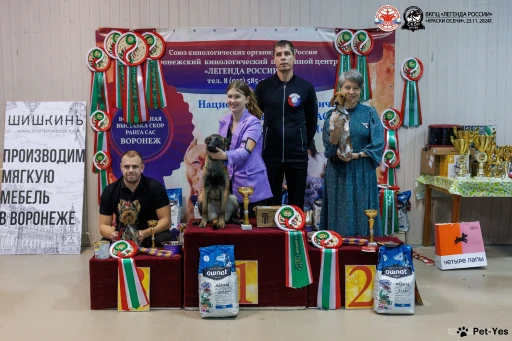 Изображение питомца