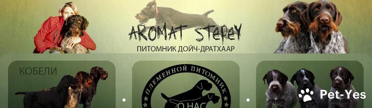 Обложка профиля пользователя