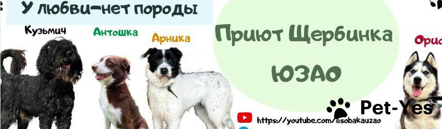 Обложка профиля пользователя