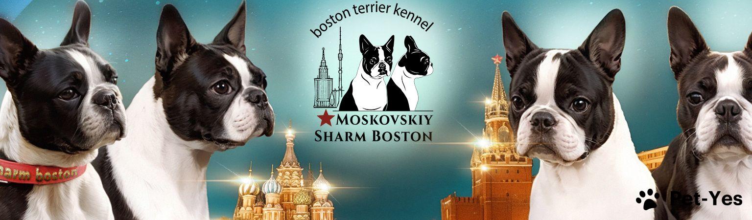 Обложка профиля пользователя