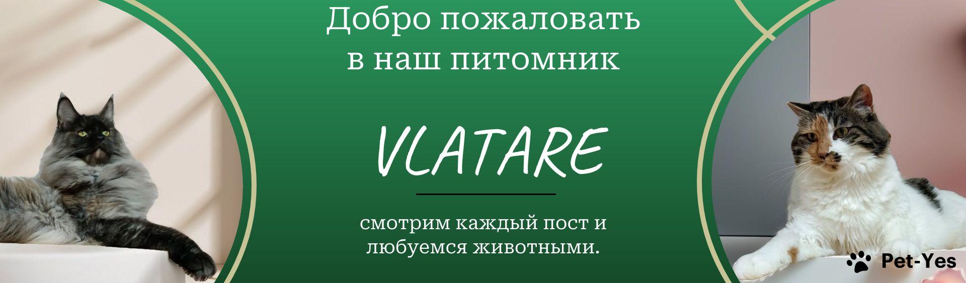 Обложка профиля пользователя