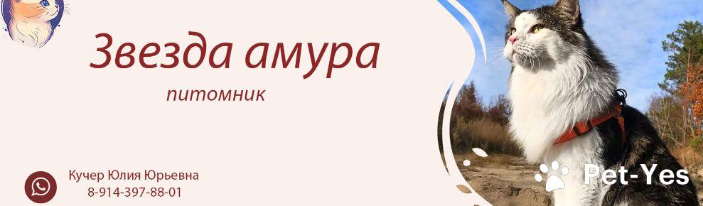 Обложка профиля пользователя