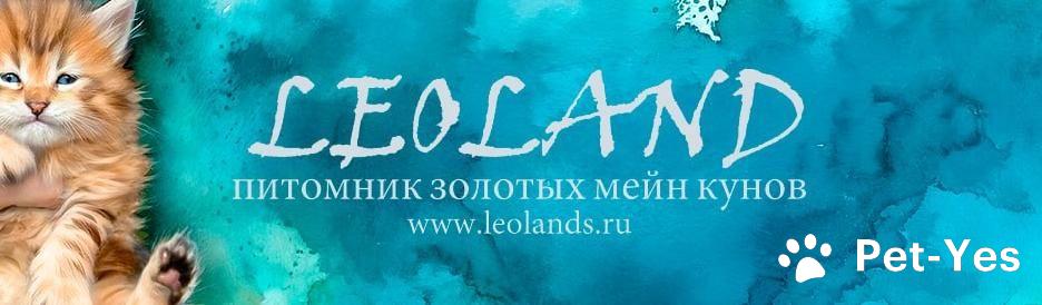 Обложка профиля пользователя