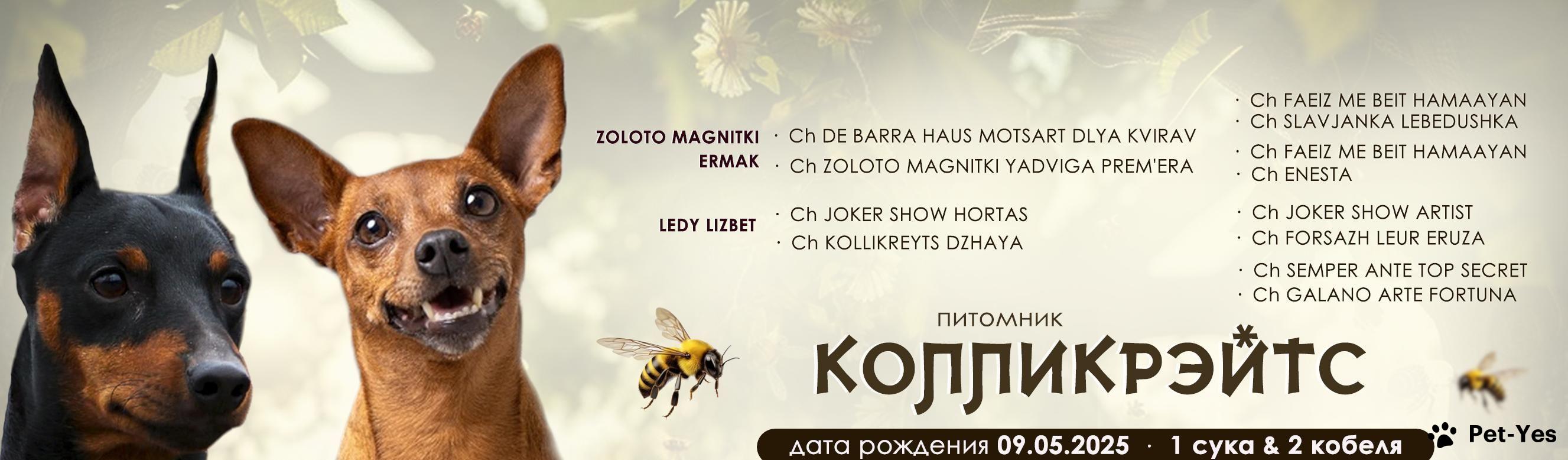 Обложка профиля пользователя