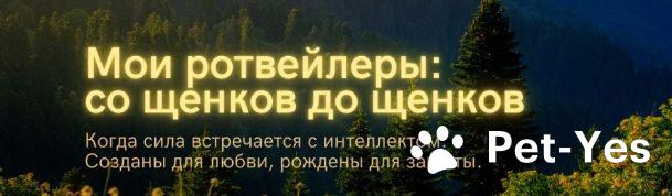 Обложка профиля пользователя