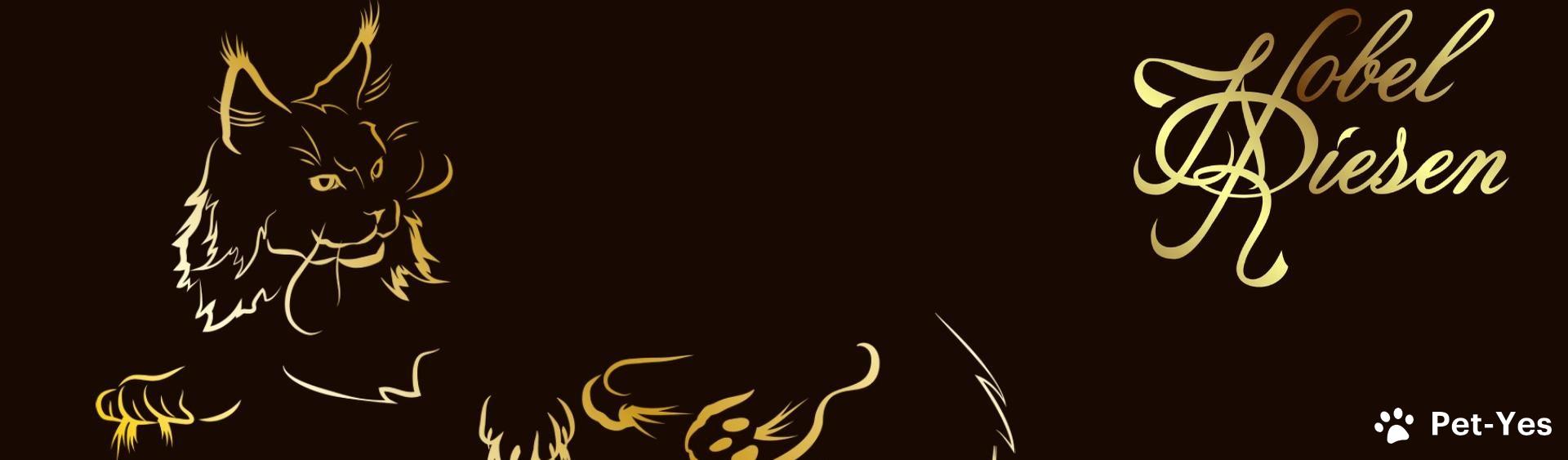 Обложка профиля пользователя