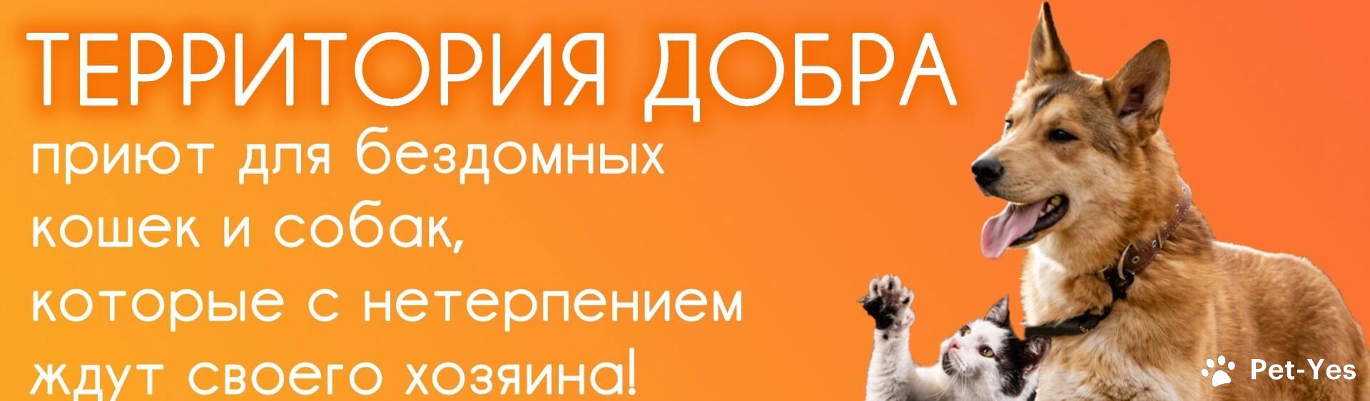 Обложка профиля пользователя