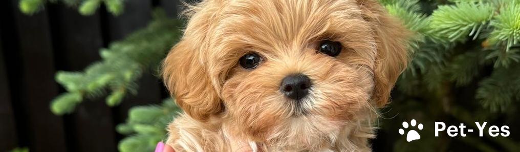 Обложка профиля пользователя