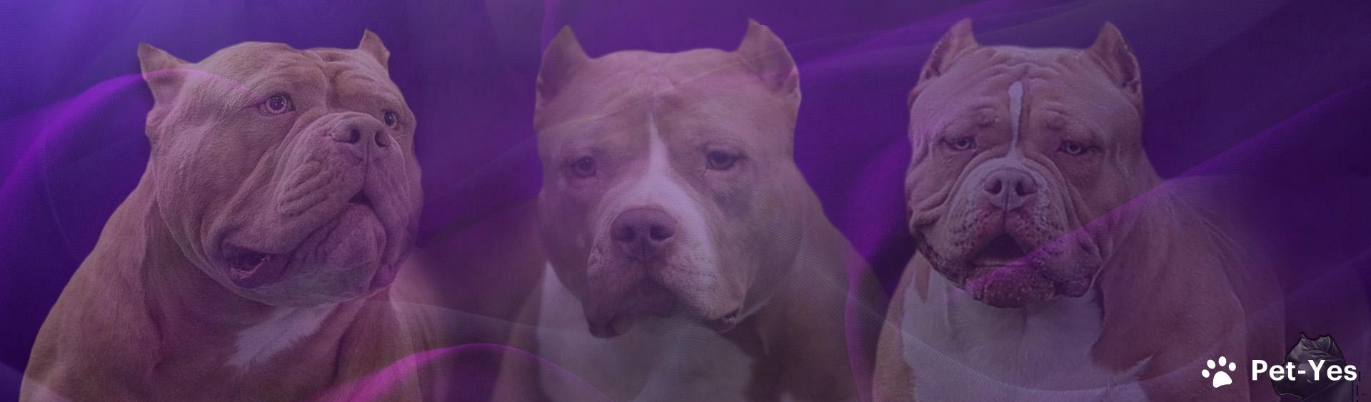 Обложка профиля пользователя