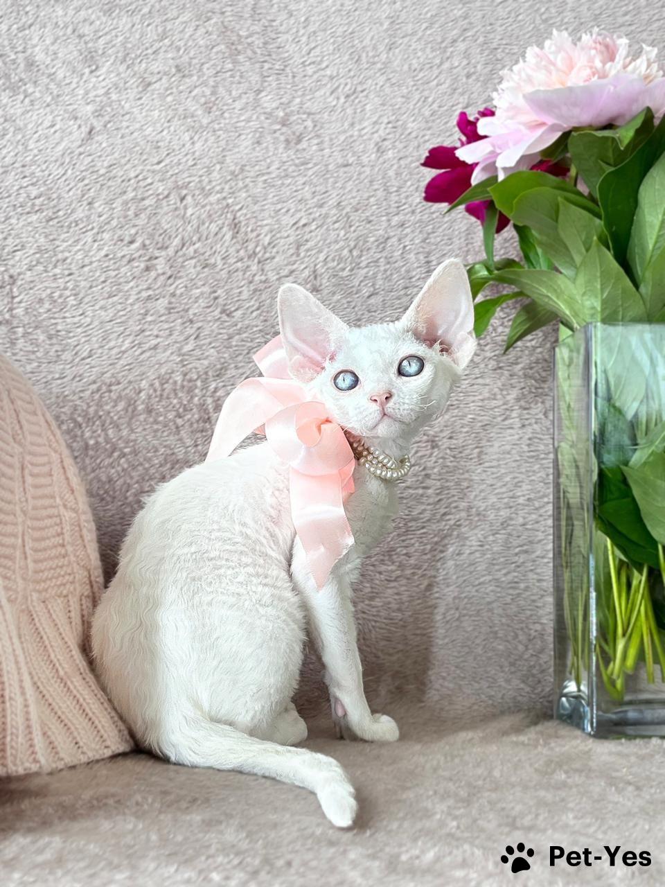 Обложка профиля пользователя