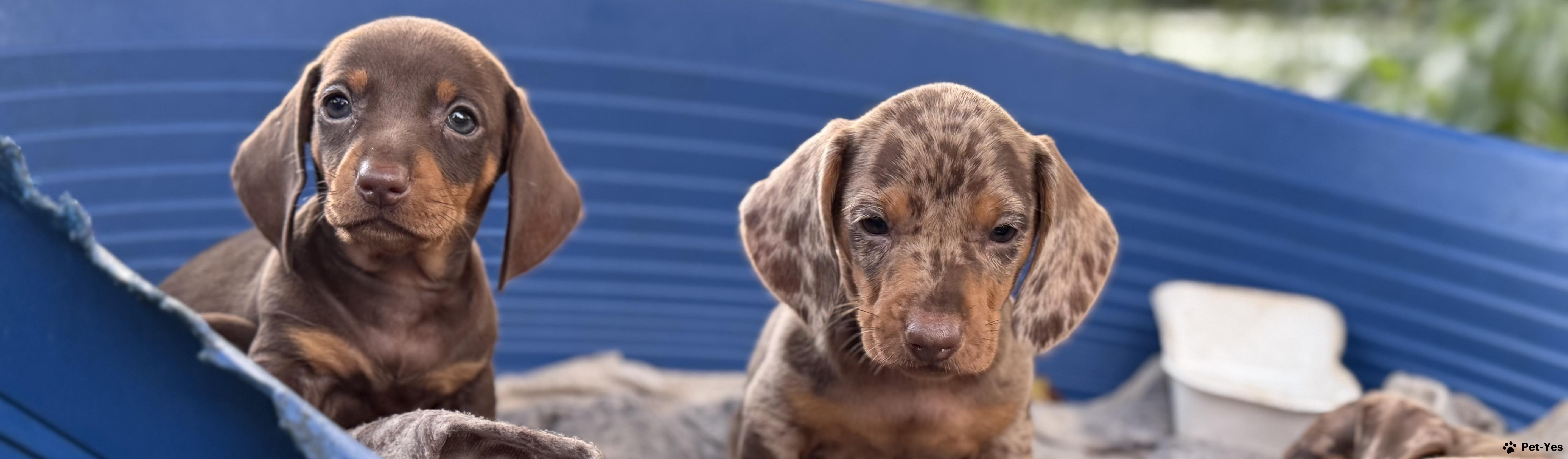 Обложка профиля пользователя