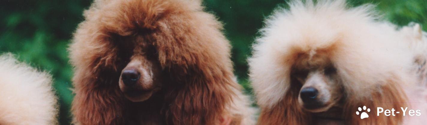 Обложка профиля пользователя