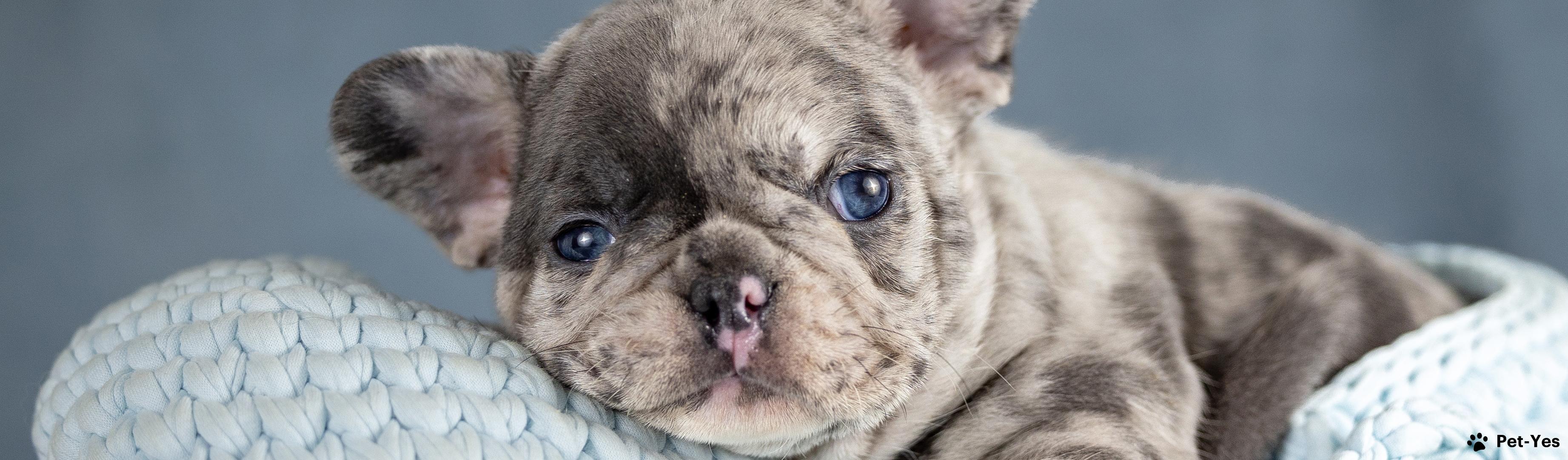 Обложка профиля пользователя