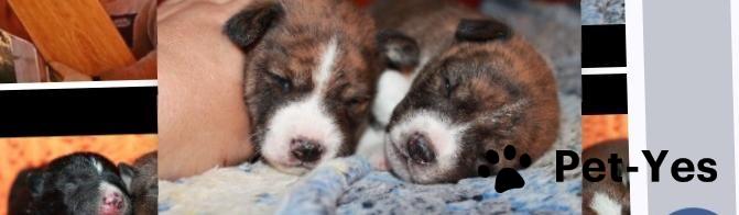 Обложка профиля пользователя