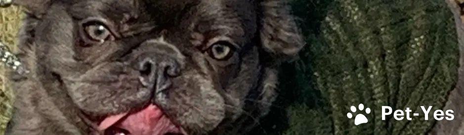 Обложка профиля пользователя