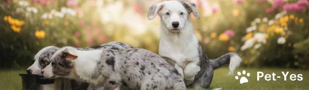 Обложка профиля пользователя