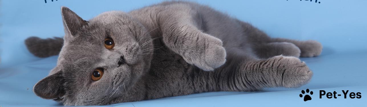 Обложка профиля пользователя