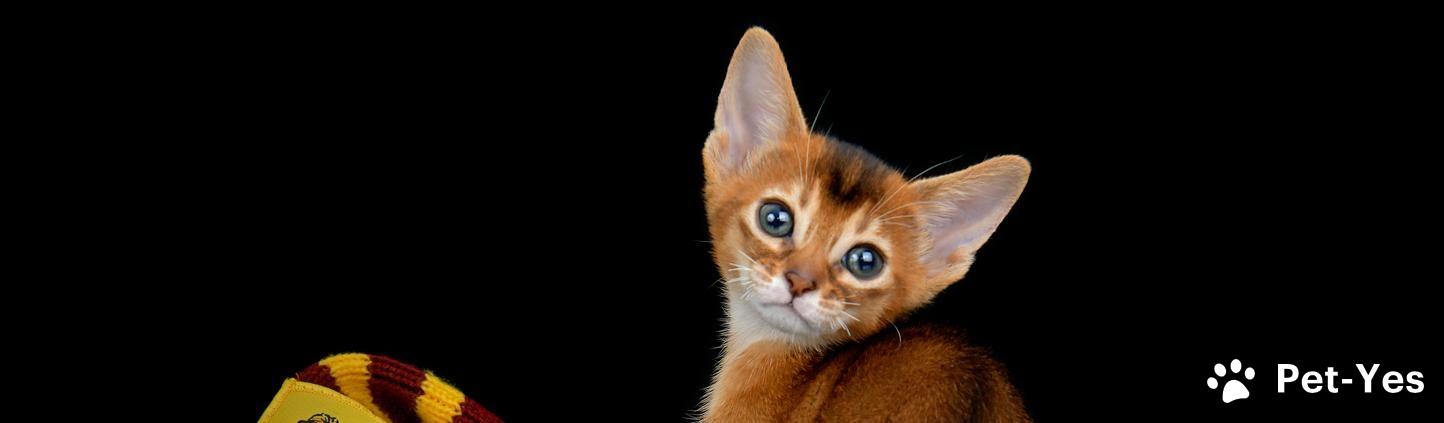 Обложка профиля пользователя