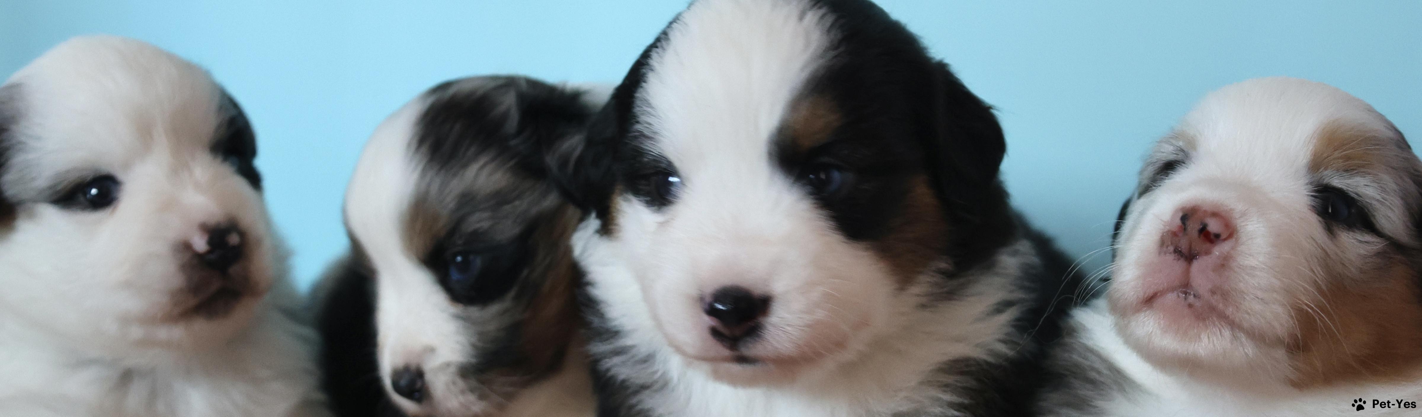 Обложка профиля пользователя