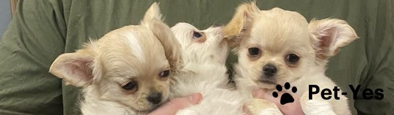 Обложка профиля пользователя