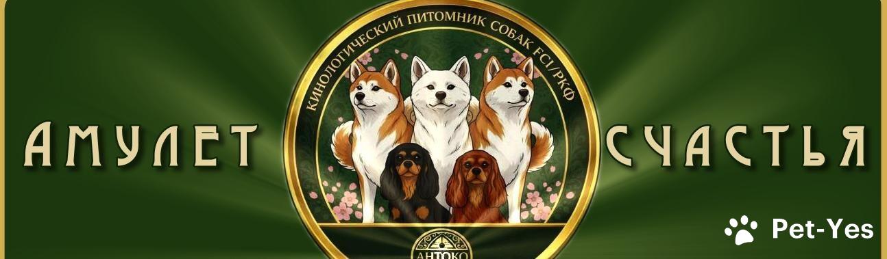 Обложка профиля пользователя