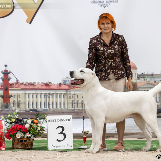 ЮЛГИЗ ШЕКСНА