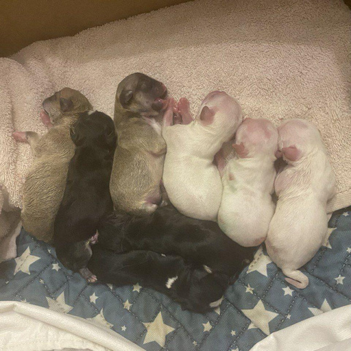 Помет от Юли и Эндрю от 21.02.2026