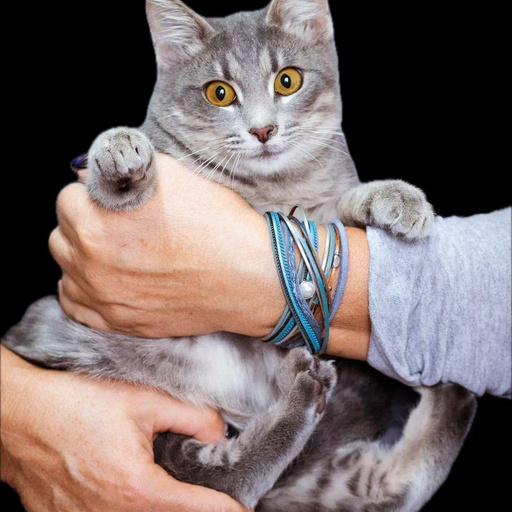 Изображение питомца