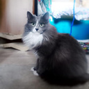 IMG-20250213-WA0010