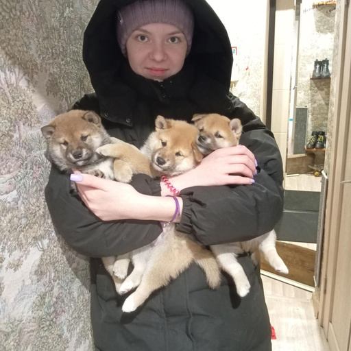 Изображение питомца