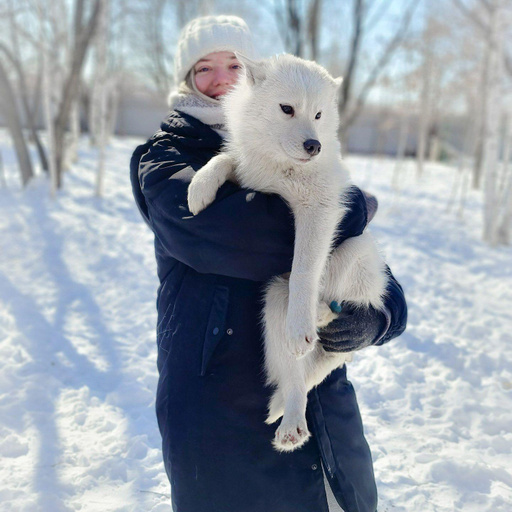 Изображение питомца