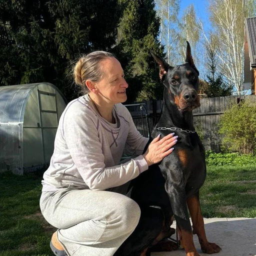 Изображение питомца