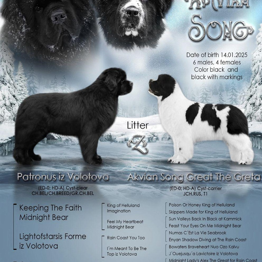 Изображение питомца