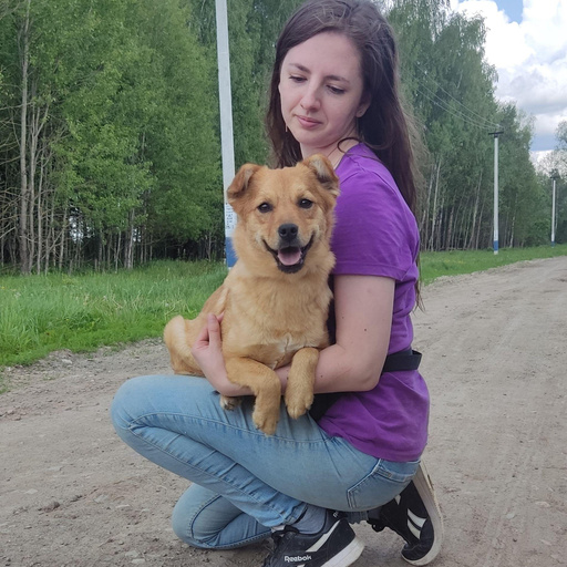 Изображение питомца