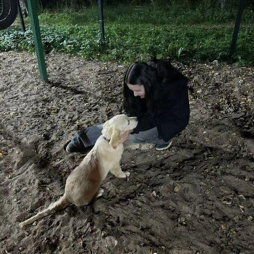 Изображение питомца