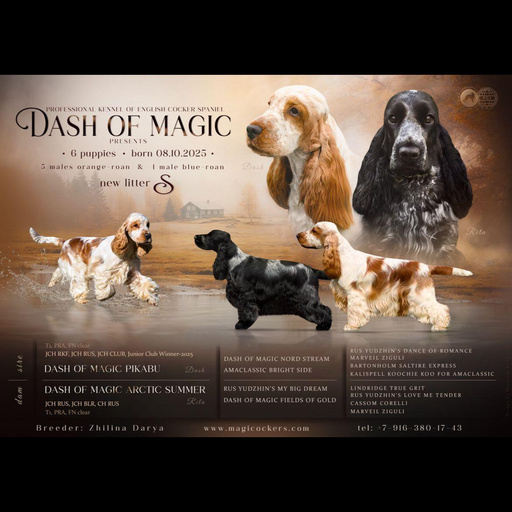 Изображение питомца