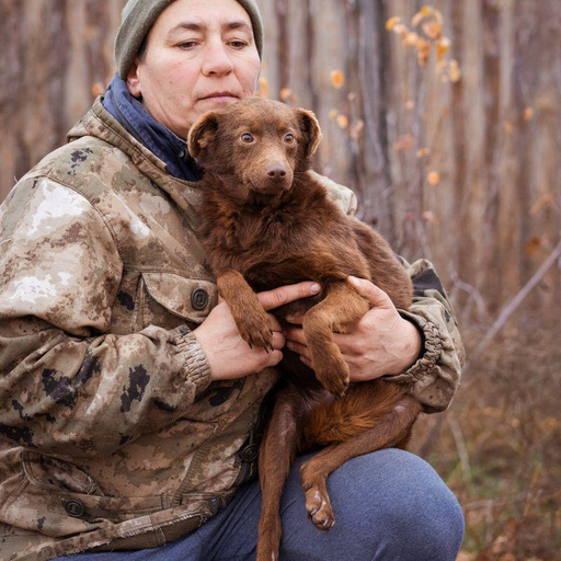 Изображение питомца