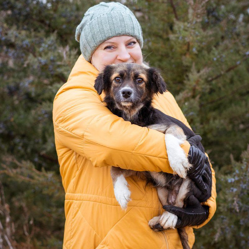 Изображение питомца