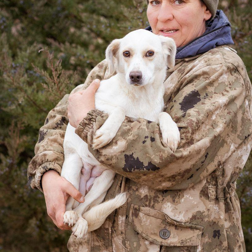 Изображение питомца