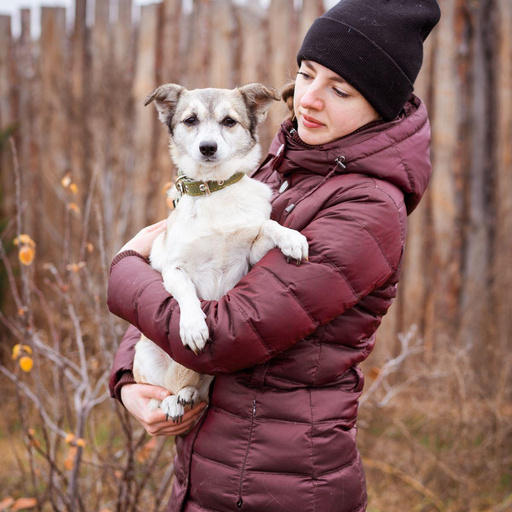 Изображение питомца