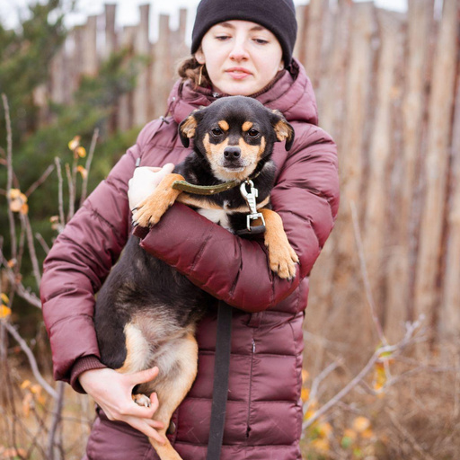 Изображение питомца