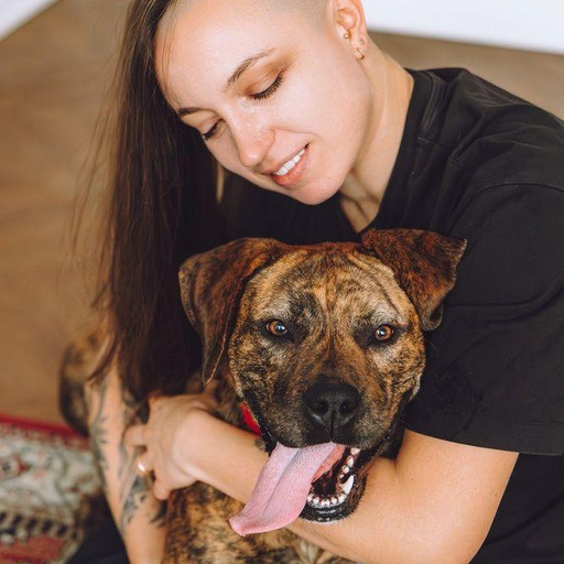 Изображение питомца